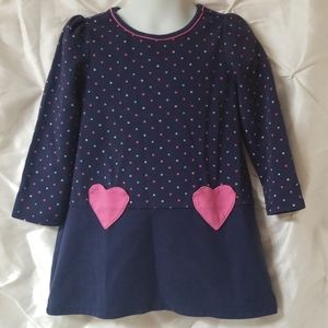 Gymboree Dress/Shirt